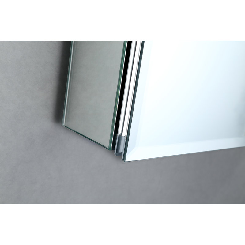 Wrought Studio Calcidon Recessed or Surface Mount Framed Medicine